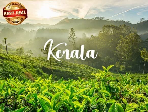 Made in Heaven - Vibrant Kerala